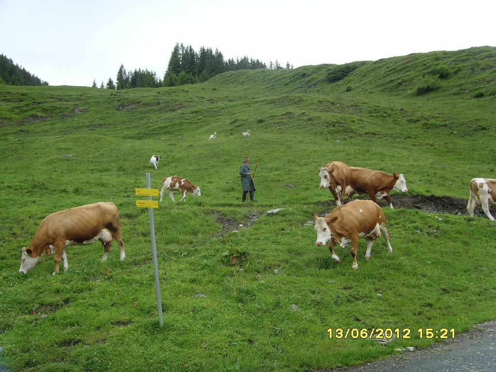 Feriendorf Ponyhof Fusch an der Grossglocknerstrasse ภายนอก รูปภาพ